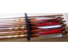 FLECHE BOIS PREMIUM NOISETIER 45/50lbs -11/32"- 32"- Rouge/Rouge/Bleu tigré
