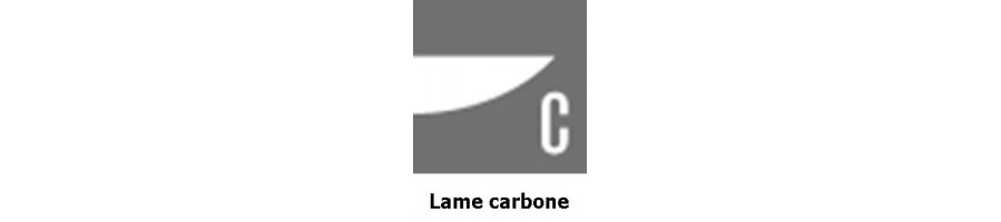 LAMES CARBONE